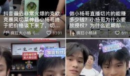 胖子爆料小杨哥视频播放,小杨哥视频播放背后的惊人真相